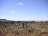s_A_PICT0317_thumb.png